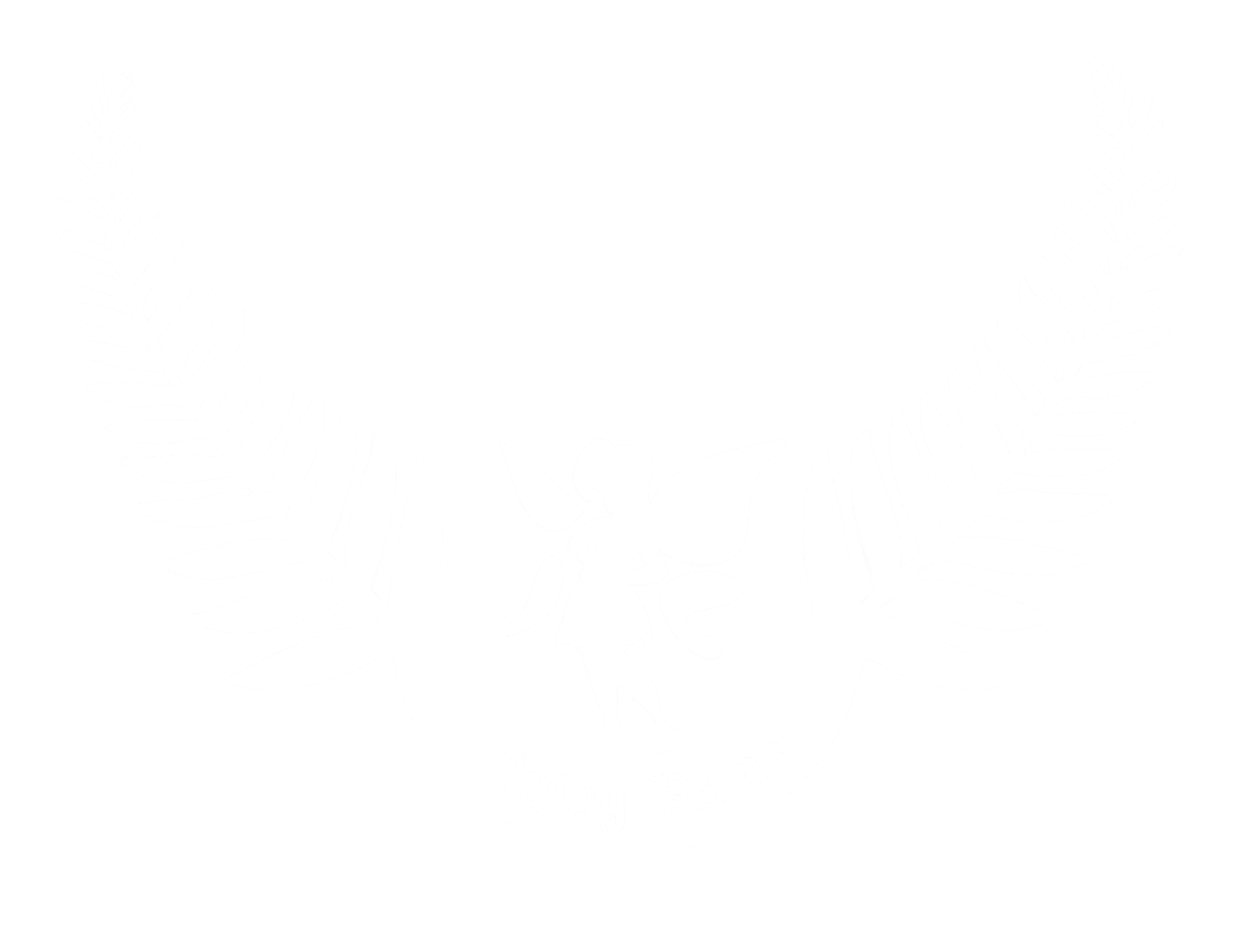 flying_ferns